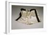 Autographed Fight Trunks from Muhammad Ali's World Championship Fight, 1974-null-Framed Giclee Print