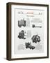 Automatic Transportation Company's Various Special Models of Automatic Units-null-Framed Giclee Print