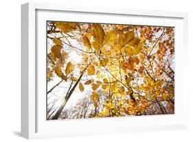 automn song-Viviane Fedieu Danielle-Framed Photographic Print