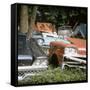 Automobile Junkyard-Walker Evans-Framed Stretched Canvas