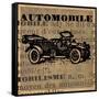 Automobile-Lisa Ven Vertloh-Framed Stretched Canvas