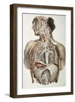 Autonomic Nerves, 1844 Artwork-Science Photo Library-Framed Photographic Print