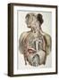 Autonomic Nerves, 1844 Artwork-Science Photo Library-Framed Photographic Print