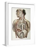 Autonomic Nerves, 1844 Artwork-Science Photo Library-Framed Photographic Print