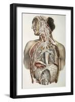 Autonomic Nerves, 1844 Artwork-Science Photo Library-Framed Photographic Print