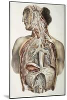 Autonomic Nerves, 1844 Artwork-Science Photo Library-Mounted Photographic Print