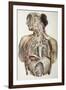 Autonomic Nerves, 1844 Artwork-Science Photo Library-Framed Photographic Print