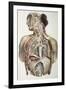 Autonomic Nerves, 1844 Artwork-Science Photo Library-Framed Photographic Print
