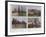 Autour De Frignicourt, Courdemanges, Courdemanges, Frignicourt-Jules Gervais-Courtellemont-Framed Photographic Print