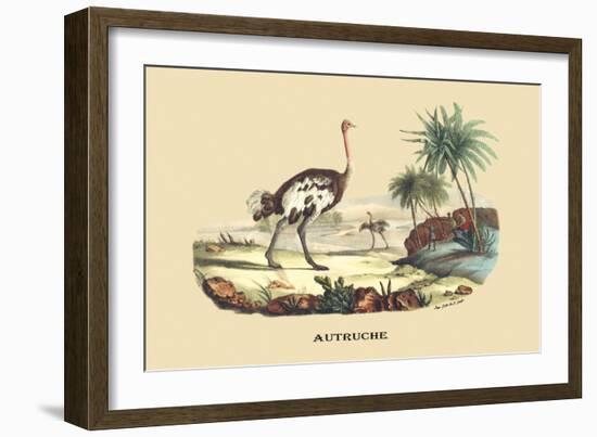 Autruche (Ostrich)-E.f. Noel-Framed Art Print