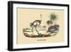 Autruche (Ostrich)-E.f. Noel-Framed Art Print