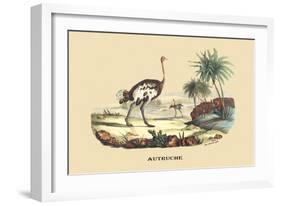 Autruche (Ostrich)-E.f. Noel-Framed Art Print