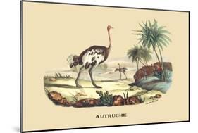 Autruche (Ostrich)-E.f. Noel-Mounted Art Print