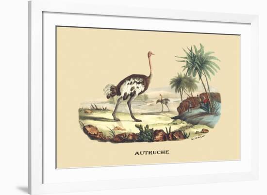 Autruche (Ostrich)-E.f. Noel-Framed Premium Giclee Print