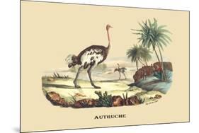 Autruche (Ostrich)-E.f. Noel-Mounted Premium Giclee Print