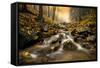 Autum Stream-Stefan Hefele-Framed Stretched Canvas