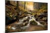 Autum Stream-Stefan Hefele-Mounted Giclee Print