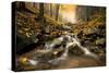 Autum Stream-Stefan Hefele-Stretched Canvas