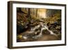 Autum Stream-Stefan Hefele-Framed Giclee Print