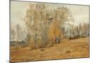 Wood Mount