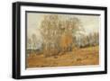 Black Frame