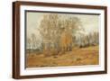 Brown Frame