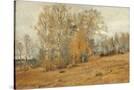 Stretched Canvas