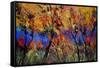 Autumn 4884-Pol Ledent-Framed Stretched Canvas