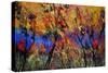 Autumn 4884-Pol Ledent-Stretched Canvas