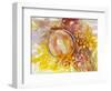 Autumn 6-Oxana Zaiko-Framed Giclee Print