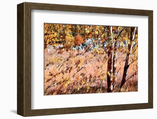 Autumn Abstract-Ursula Abresch-Framed Photographic Print