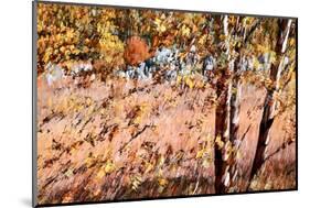 Autumn Abstract-Ursula Abresch-Mounted Photographic Print