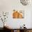 Autumn Abundance 3-Holli Conger-Giclee Print displayed on a wall