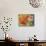 Autumn Abundance 5-Holli Conger-Mounted Giclee Print displayed on a wall