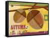 Autumn Abundance 6-Holli Conger-Framed Stretched Canvas