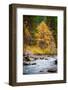 Autumn Across The River-Michael Broom-Framed Photographic Print