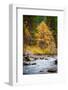 Autumn Across The River-Michael Broom-Framed Photographic Print