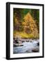 Autumn Across The River-Michael Broom-Framed Photographic Print