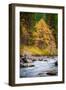 Autumn Across The River-Michael Broom-Framed Premium Photographic Print