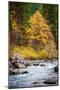 Autumn Across The River-Michael Broom-Mounted Premium Photographic Print