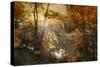 Autumn Afterglow-Jessica Jenney-Stretched Canvas