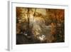 Autumn Afterglow-Jessica Jenney-Framed Giclee Print