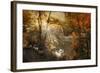 Autumn Afterglow-Jessica Jenney-Framed Giclee Print