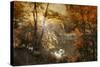 Autumn Afterglow-Jessica Jenney-Stretched Canvas