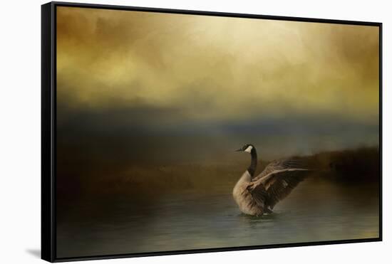 Autumn Afternoon Splash-Jai Johnson-Framed Stretched Canvas