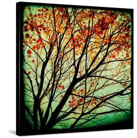 Autumn Alchemy I-Irene Suchocki-Stretched Canvas