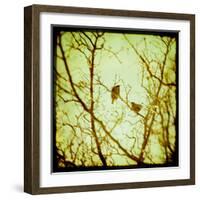 Autumn Alchemy II-Irene Suchocki-Framed Giclee Print