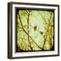 Autumn Alchemy II-Irene Suchocki-Framed Giclee Print