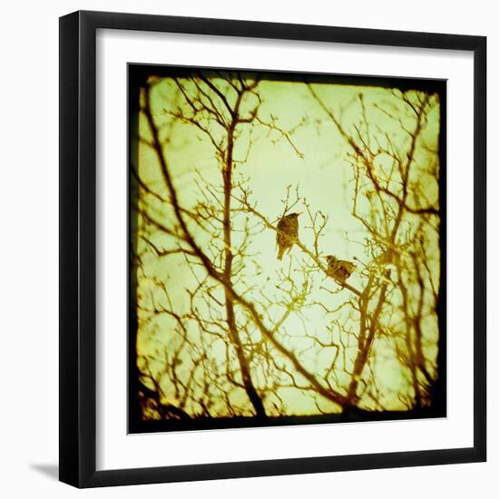 Autumn Alchemy II-Irene Suchocki-Framed Giclee Print