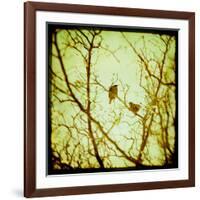 Autumn Alchemy II-Irene Suchocki-Framed Giclee Print